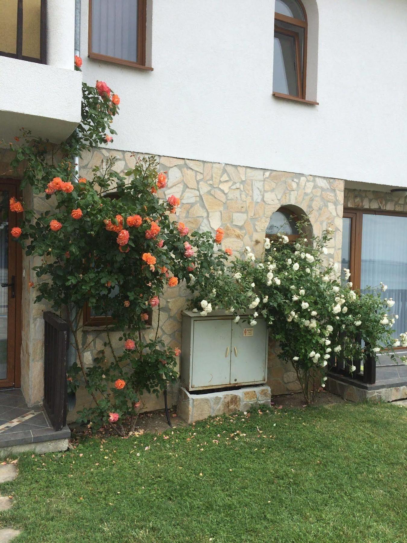 Tsb Sun Coast Apartments Sveti Vlas Exterior foto